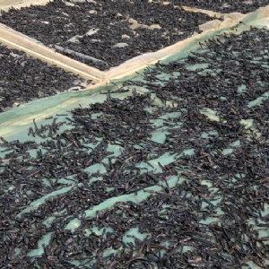 ����8��·���������Ʒ