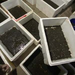 ����8��·��������Ѽ�