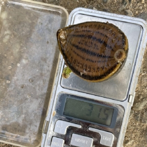 ����8��·�������С��