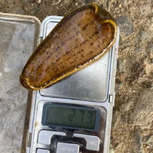 ����8��·�������С��