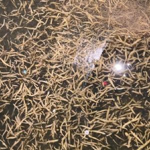 ����8��·�������С��