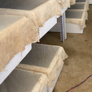 ����8��·�������С��