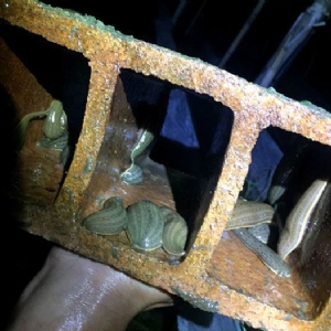 ����8��·�������С��