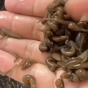 ����8��·�������С��