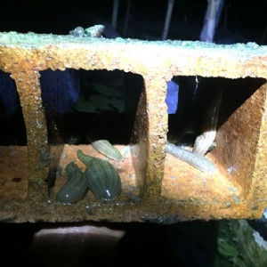 ����8��·������ĳ���