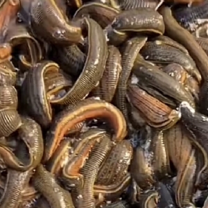 ����8��·������ĳ���