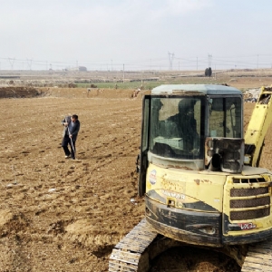 ��ֳ����