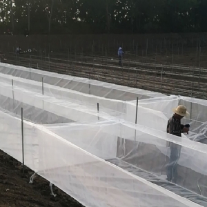 ��ֳ����