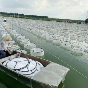 ��ֳ����