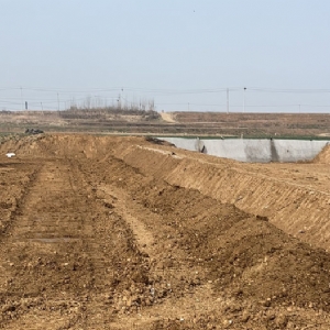 ��ֳ����