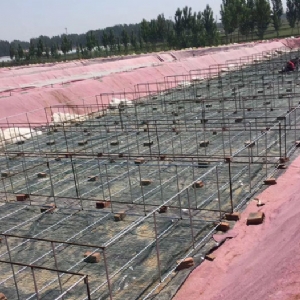 ��ֳ����