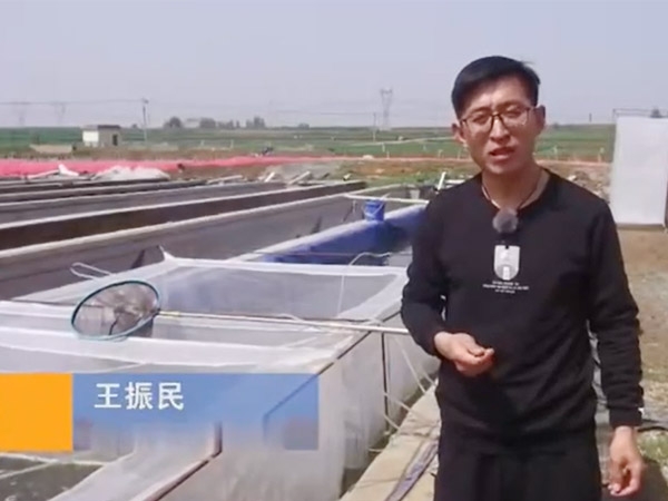 ���ε�ѡ��