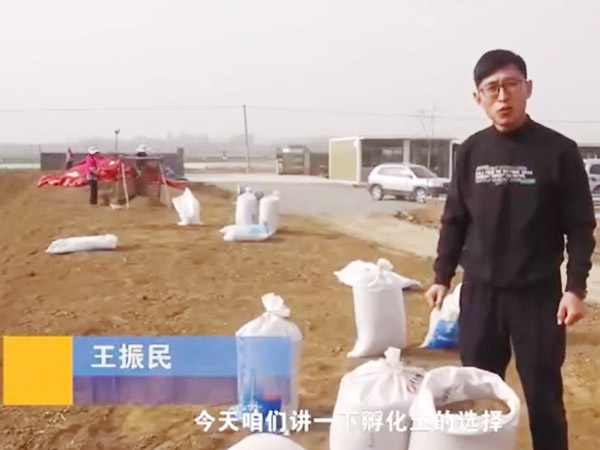 �ѻ�����ѡ��