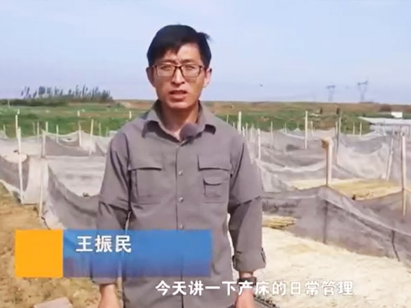 ����һ��ƽ������