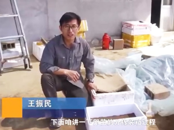 ���ѷּ�װ��̳�