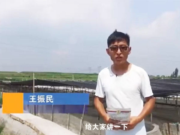 ��������-EM������