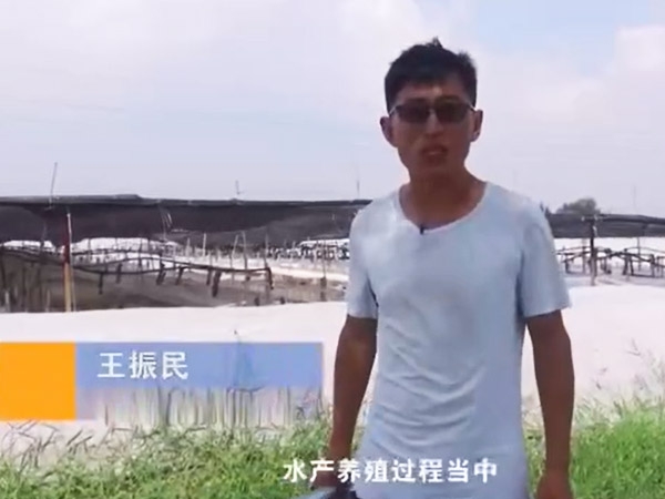 ��������-���������