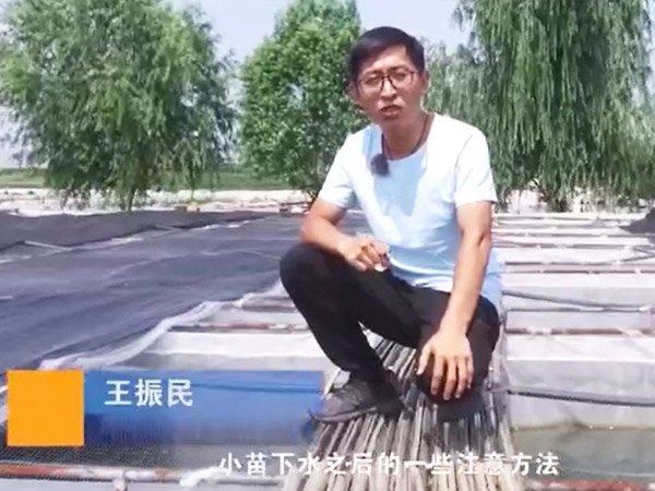 ����8��·�������С����ˮ���ע�غͲ���