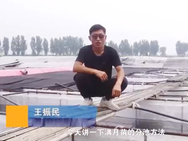 ����8��·�������������ķֳ�Ҫ��