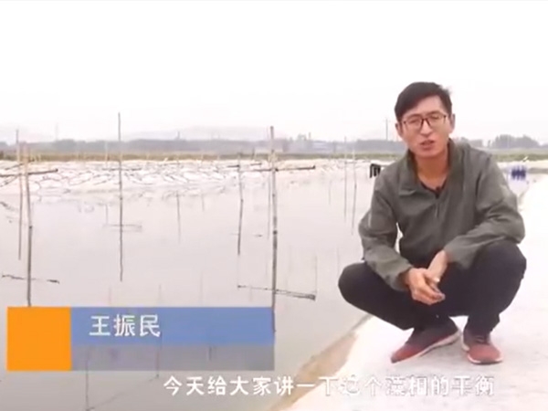 ˮ������ƽ��