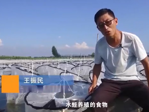 ��ֳ����.ʳ��Ͷ��