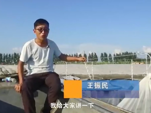 ��ֳ����-��������