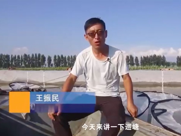 ��ֳ����-Ѳ�ü��