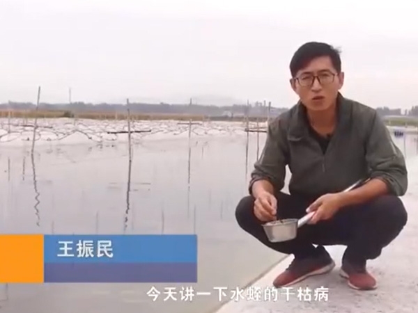 ����8��·������ĸɿݲ������ļ��ɼ�����Ҫ��