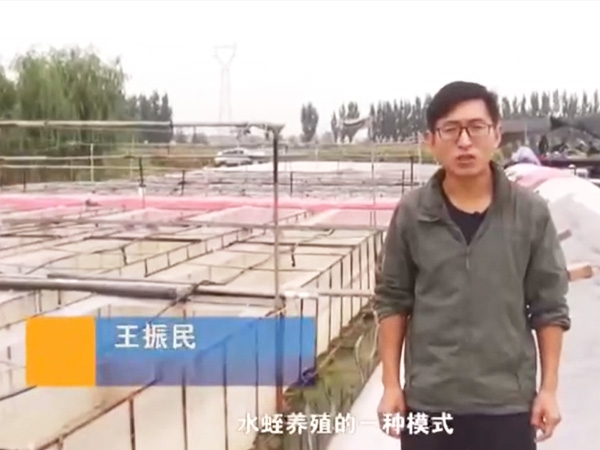 ΢ѭ�����ϵͳ����