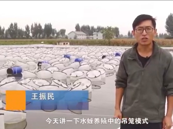 ����ģʽ����