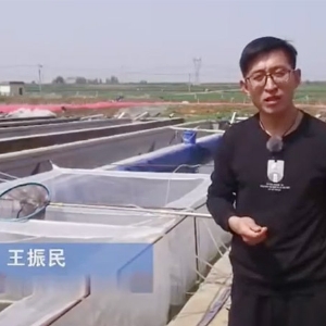 ���ε�ѡ��