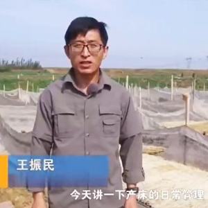 ����һ��ƽ������