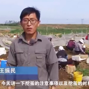 �ڼ�ʱ����ע������