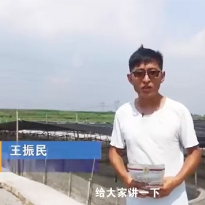 ��������-EM������