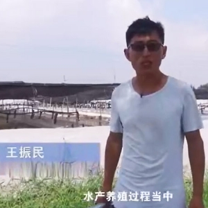 ��������-���������