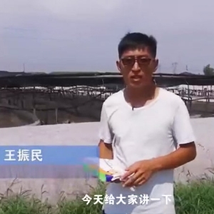 ��������-ѿ�߸˾�����