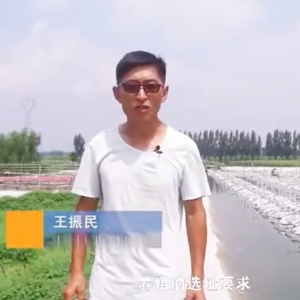 ѡַ-λ��ѡ��