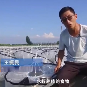 ��ֳ����.ʳ��Ͷ��