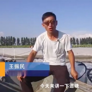 ��ֳ����-Ѳ�ü��