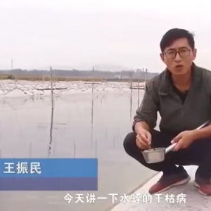 ����8��·������ĸɿݲ������ļ��ɼ�����Ҫ��