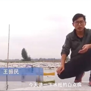 ����8��·������İ׵㲡�����ļ��ɼ�����Ҫ��