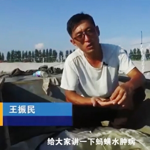 ���溦����-ˮ�ײ��������