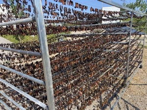 天游8线路检测中心制品