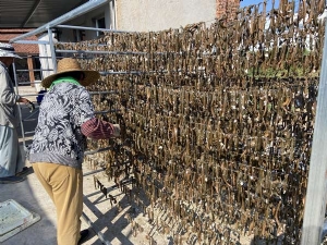 天游8线路检测中心制品