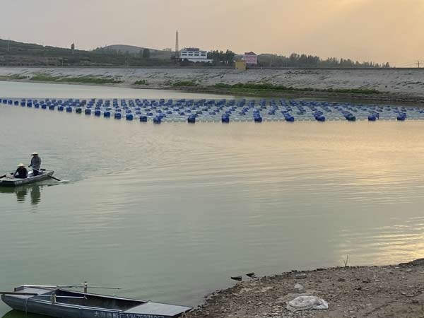 ��ֳ����