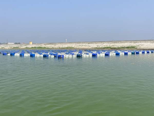 ��ֳ����