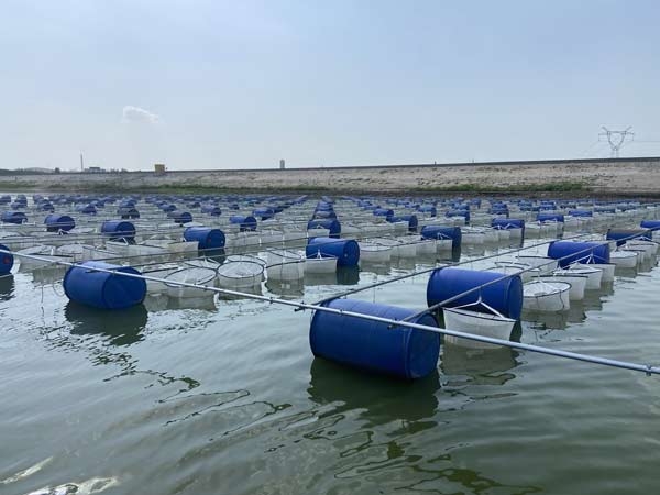 ��ֳ����