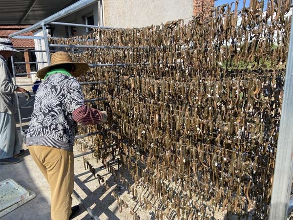 ����8��·���������Ʒ