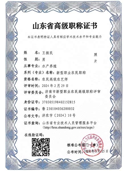 ɽ��ʡ�߼�ְ��֤��