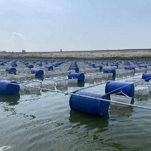 ��ֳ����